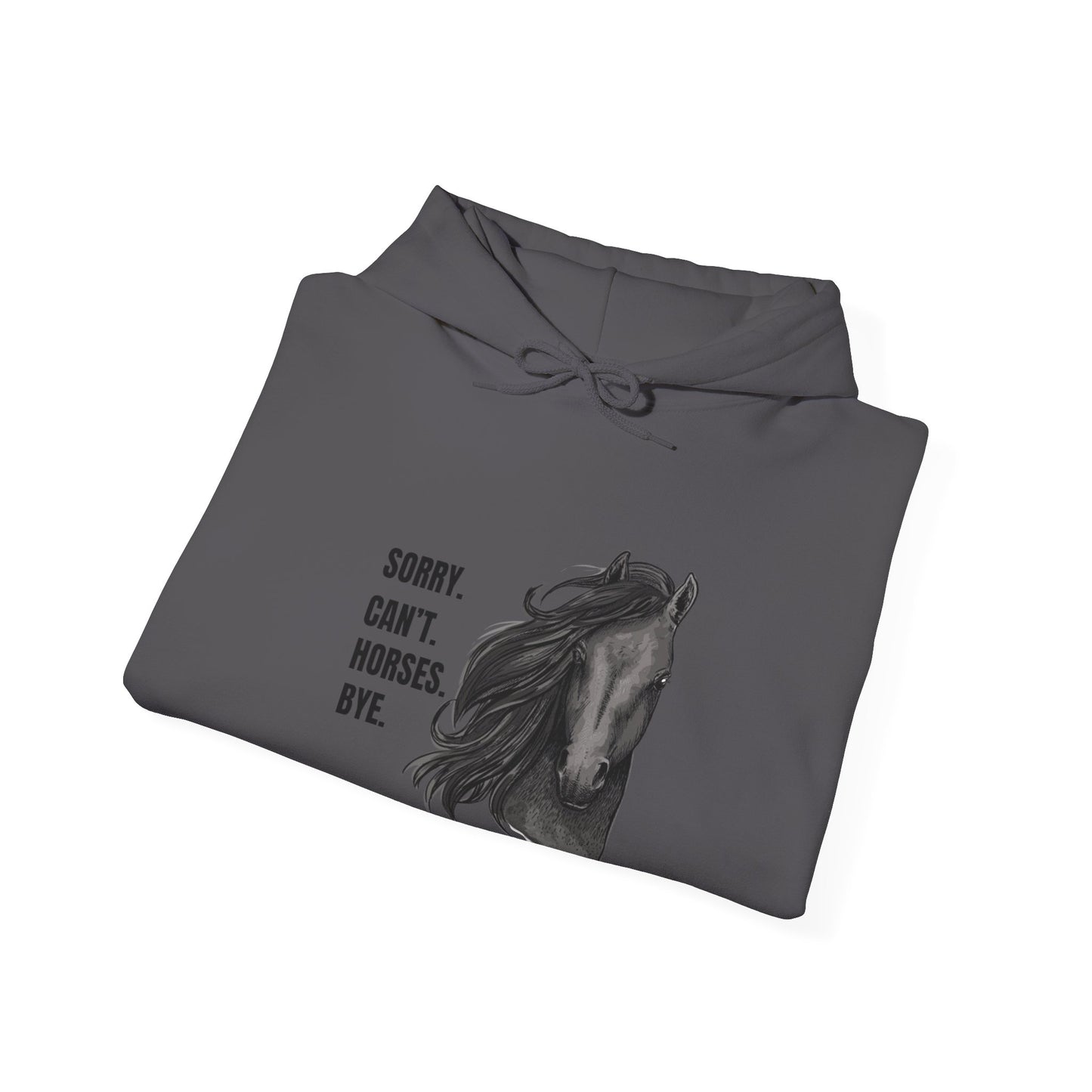 Horse Themed Funny Quote Hoodie